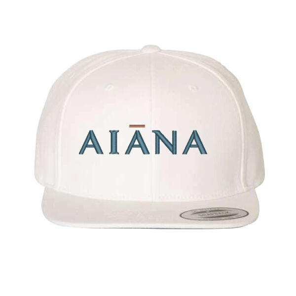 Unisex Embroidered Flat Bill Snapback Cap Thumbnail